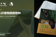 成都潘达动物医院携《鹦鹉百科》亮相2026亚宠展，五场课程聚焦鹦鹉科学照护