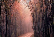 “星火·链网”国际打造汽车工业数据生态 “信任锚”:中德技术专家组取得阶段成果